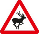 Wild animals