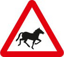 Wild horses or ponies
